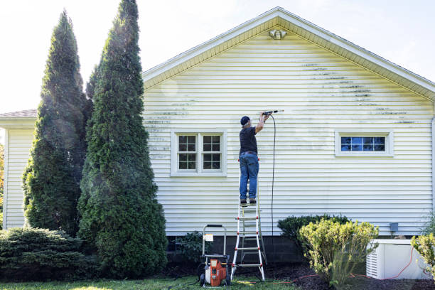 Best Building Exterior Washing  in Page, AZ